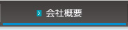 ЊTv
